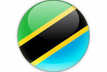 Tanzania Flag