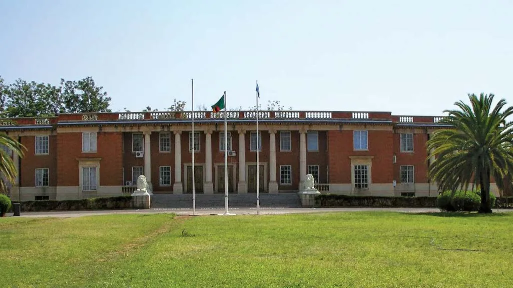 Zambia Flag